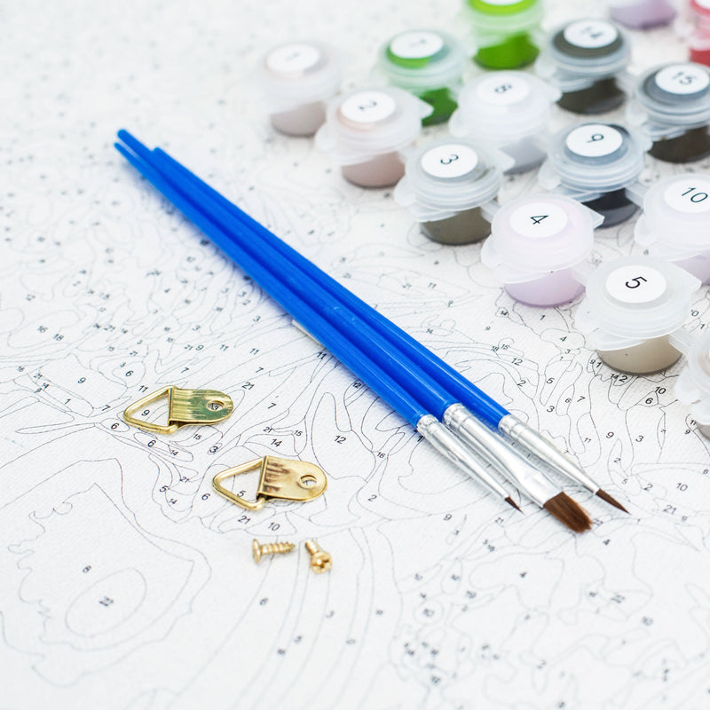 kit de Pintura por Números. Arte que Acalma.